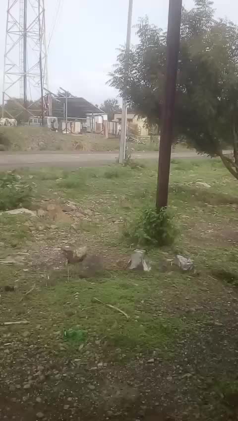 @RaviPrakshale