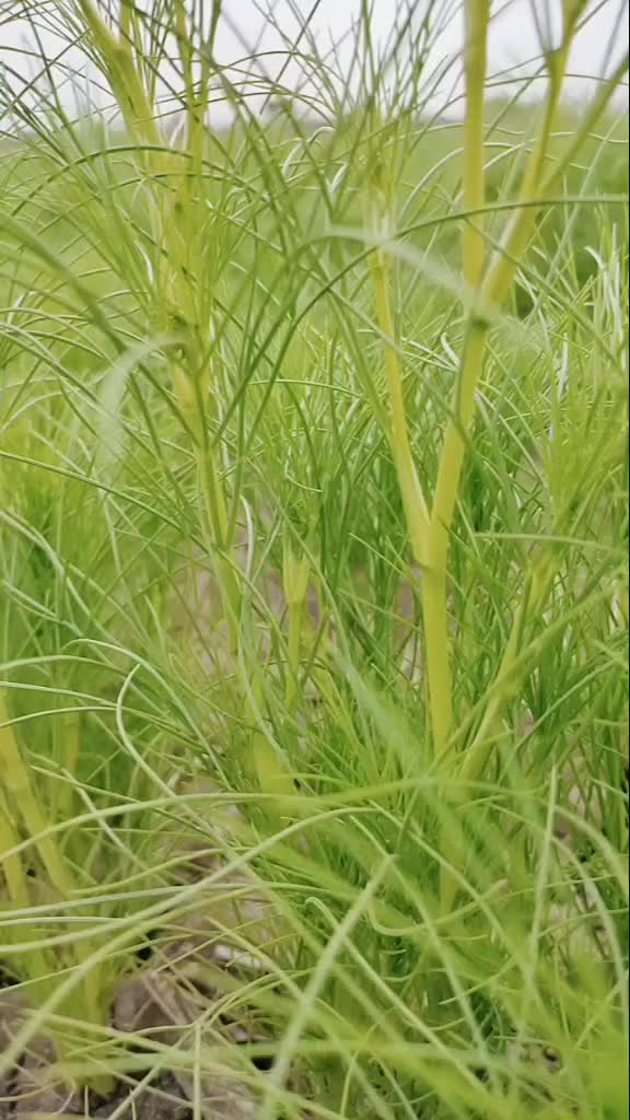 @Vivek_ghadiya_5784