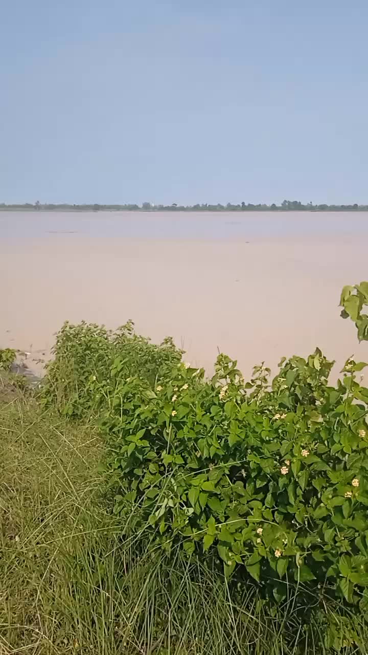 @nandupaswan27