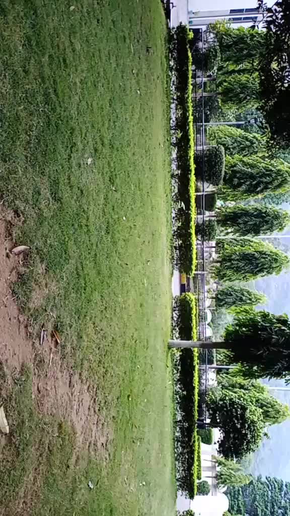 @Mona katoch