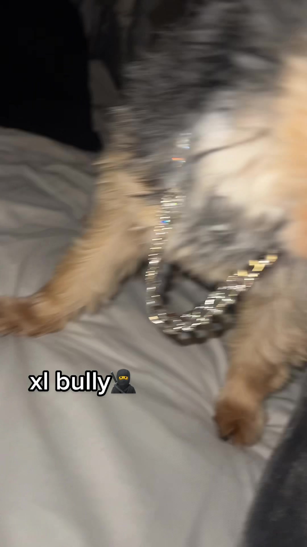 @𝒜𝓃𝓃𝒶 🐆🤎