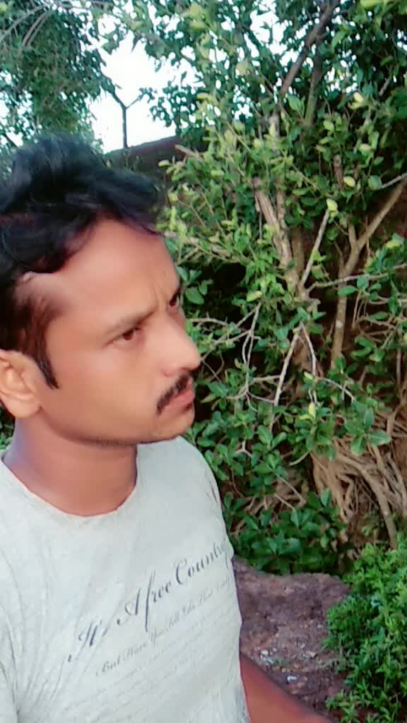 @user2681934076436