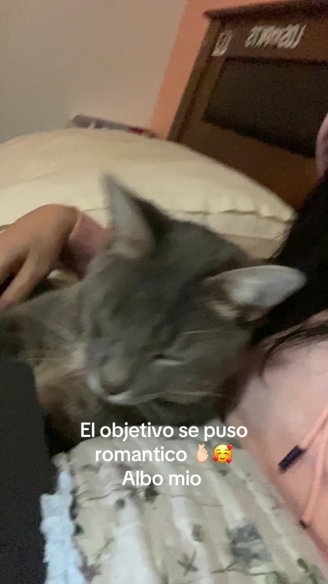 @PazNat