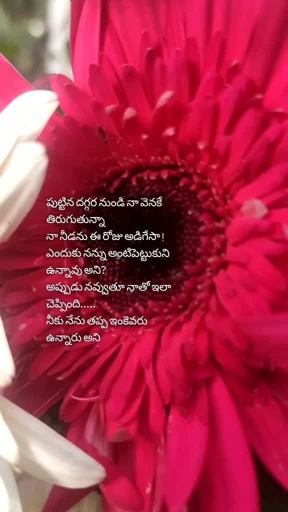 @Devi priyanka