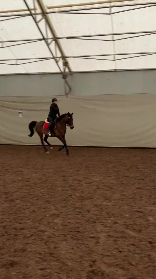 @Końska Grupa🐎