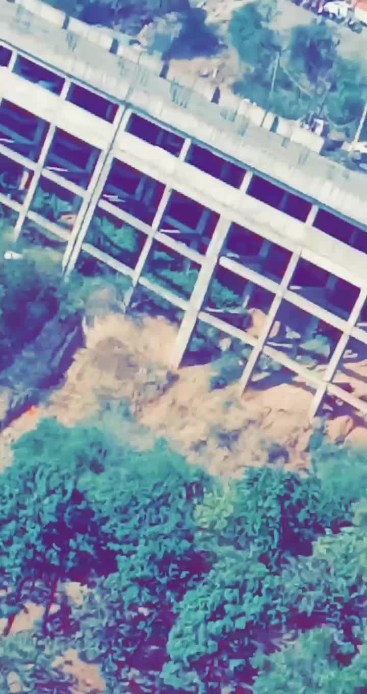 @🔵 PB_65_wale 🔵