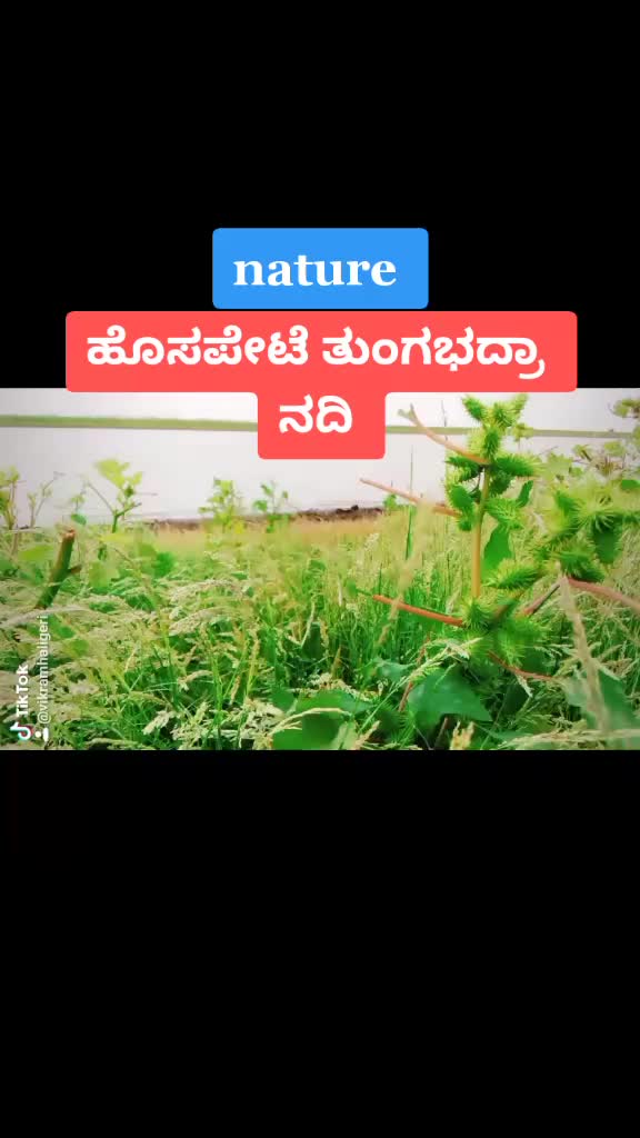 @🧙show man vikram🧙