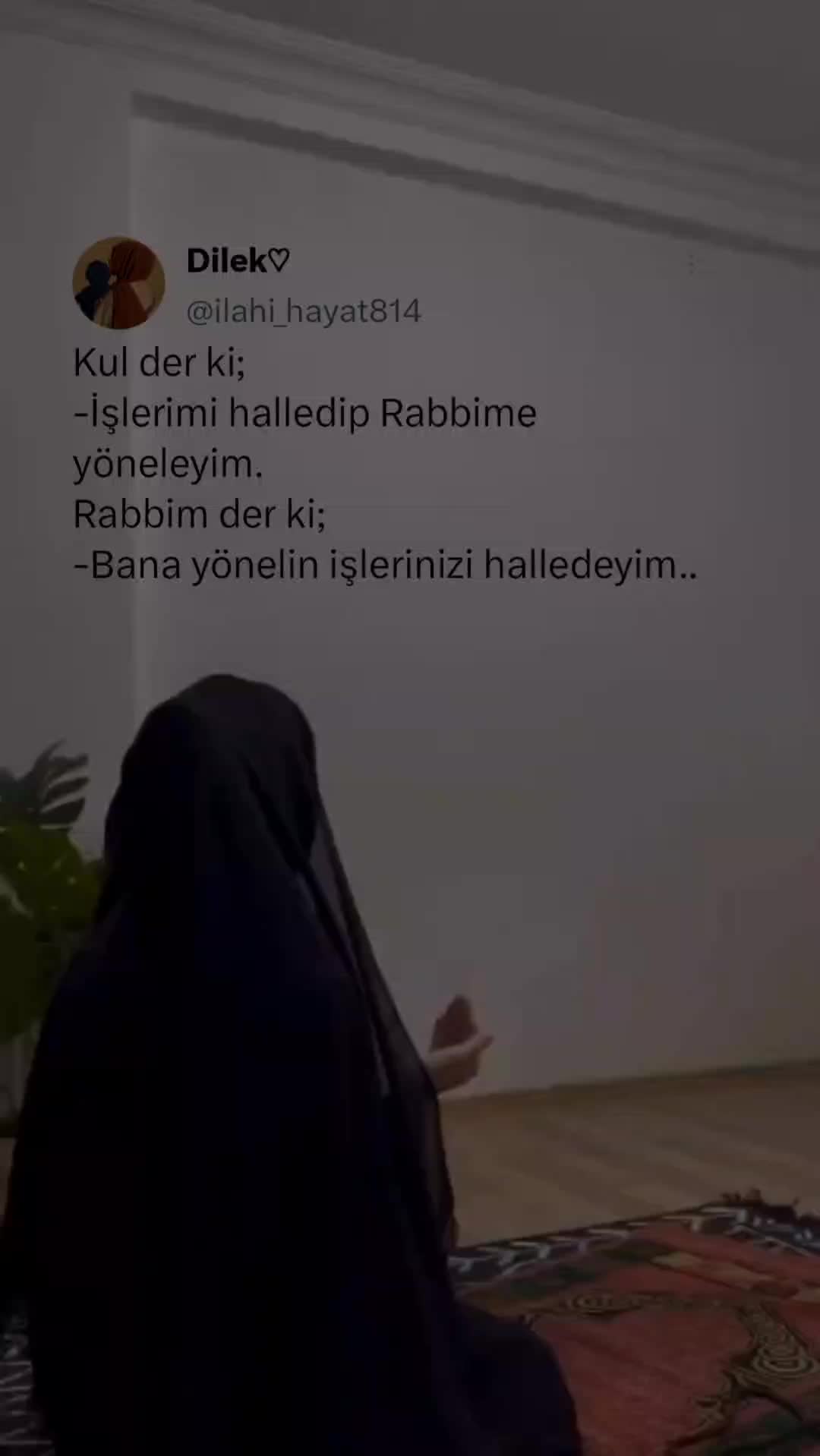 @𝓓𝓲𝓵𝓮𝓴 ♡
