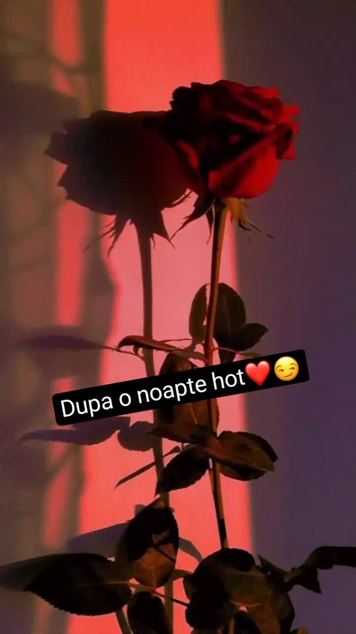 @povv🤪💗😻