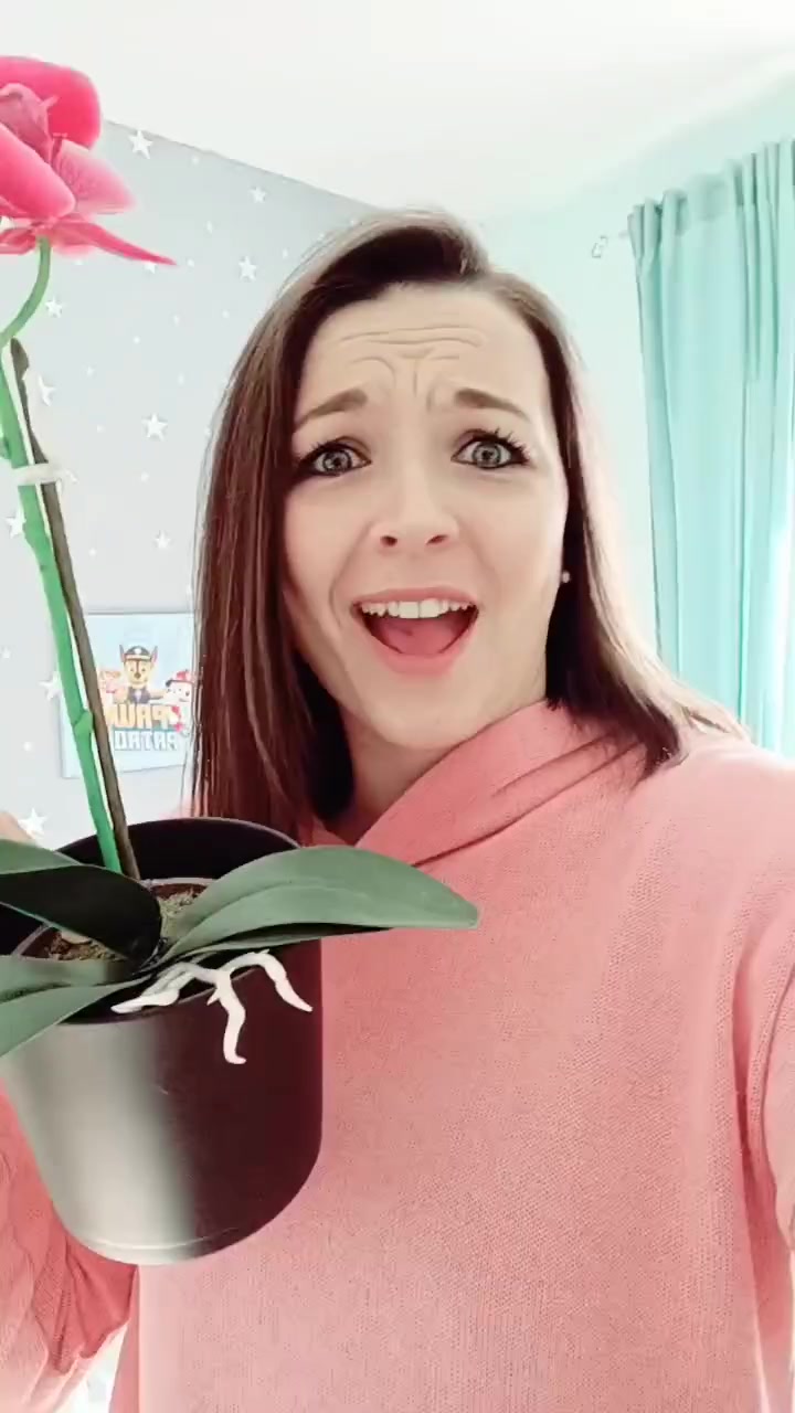 @aennepopenne