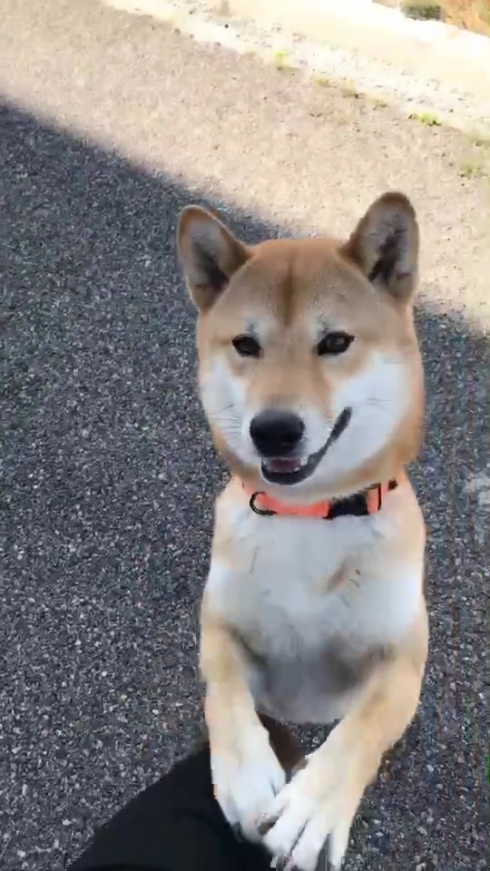 @YoyoDubs