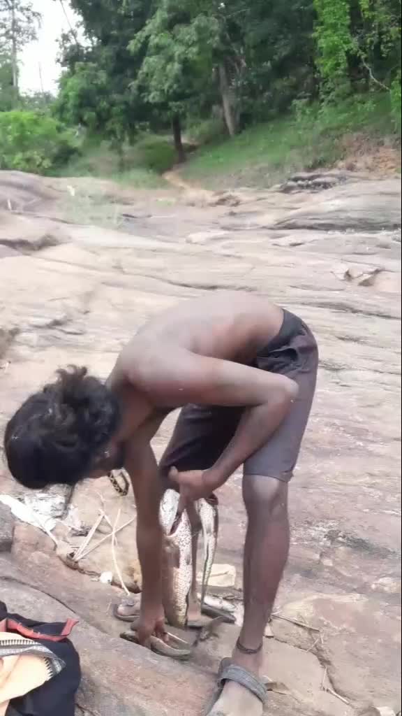 @kukku kukkus