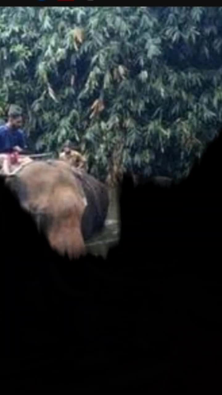 @keshaw kumar