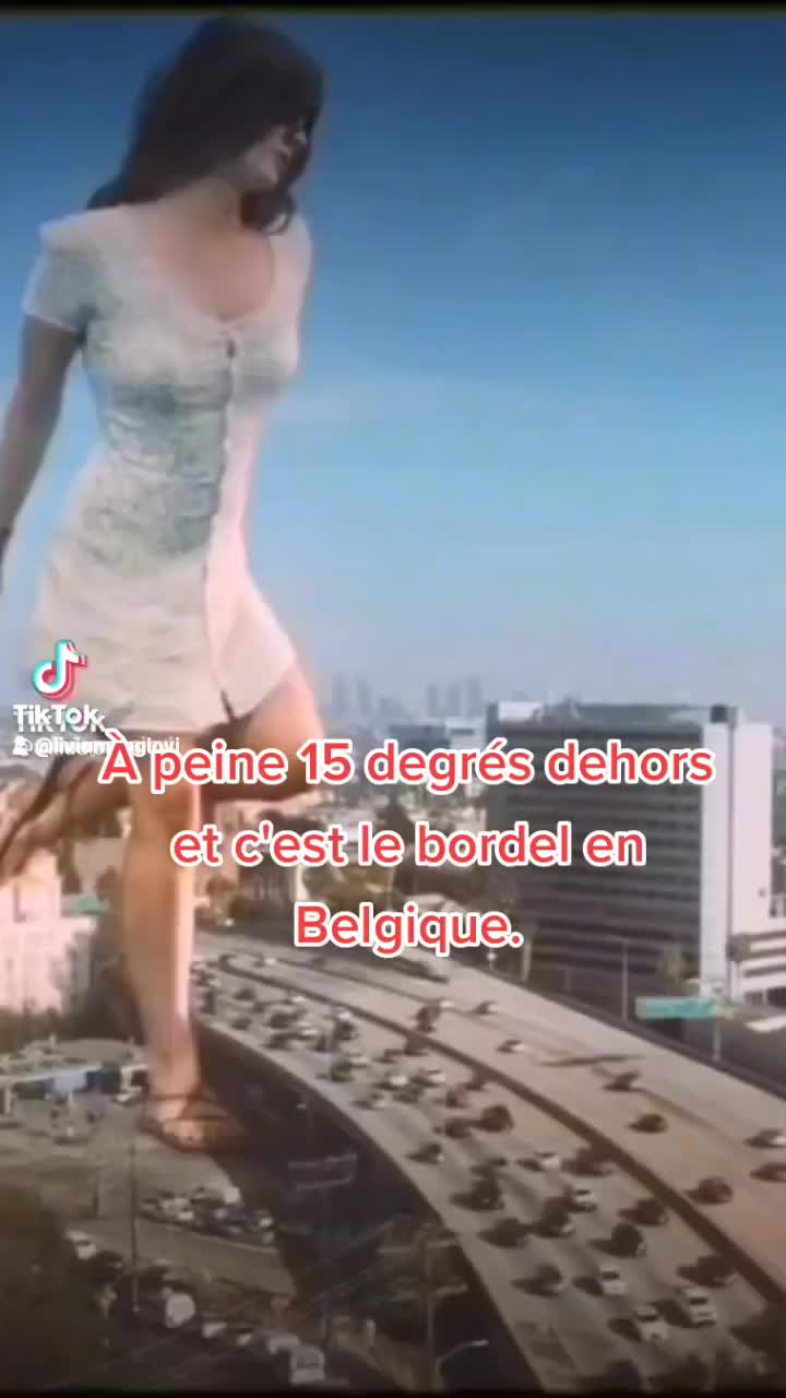 @alex le liégeois