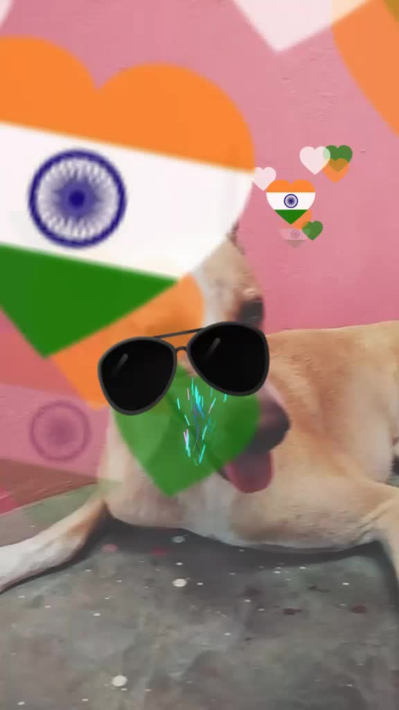 @Ritika vyas