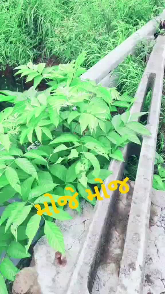 @Tik Toker