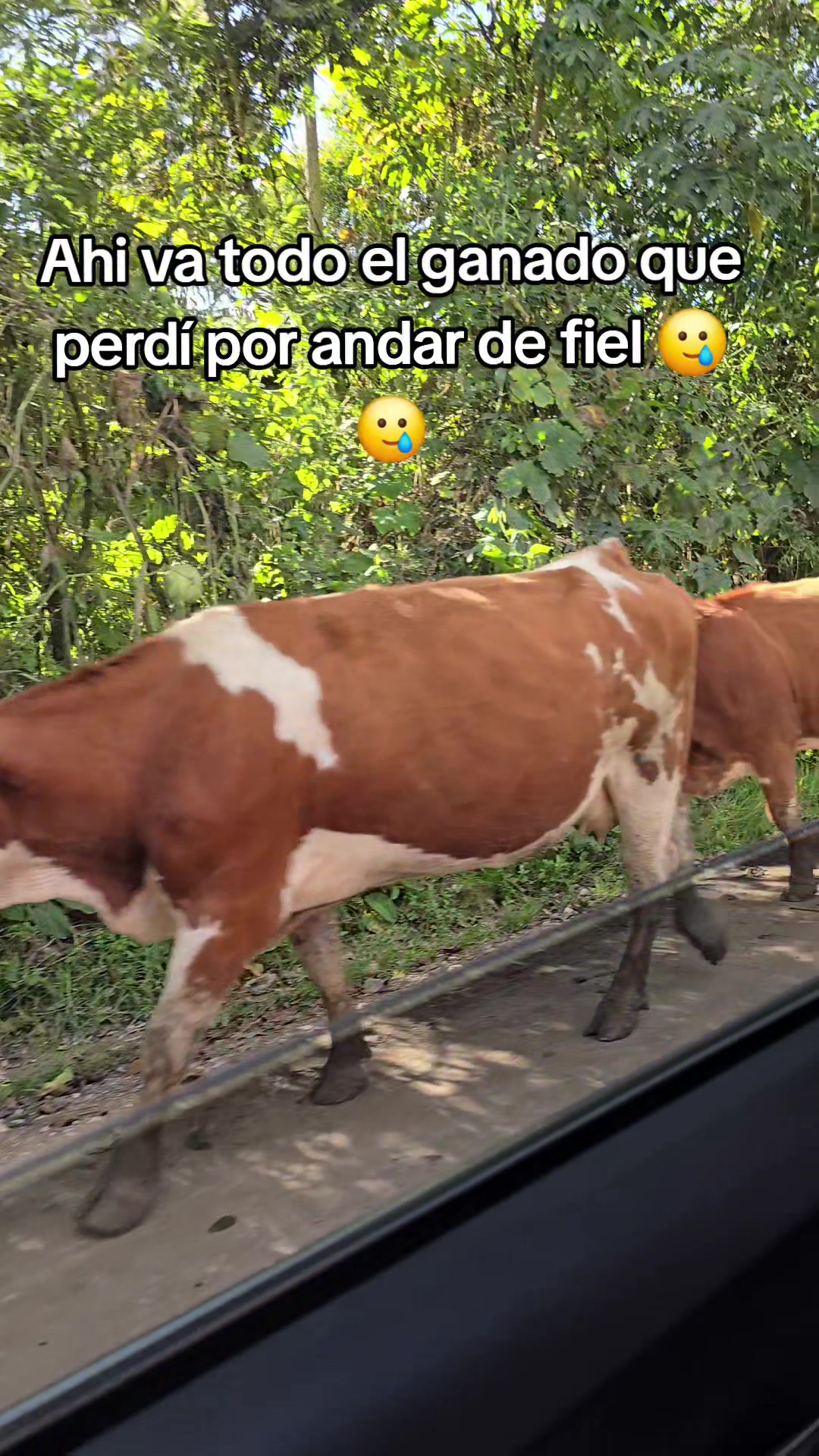 @Lizetcita FH