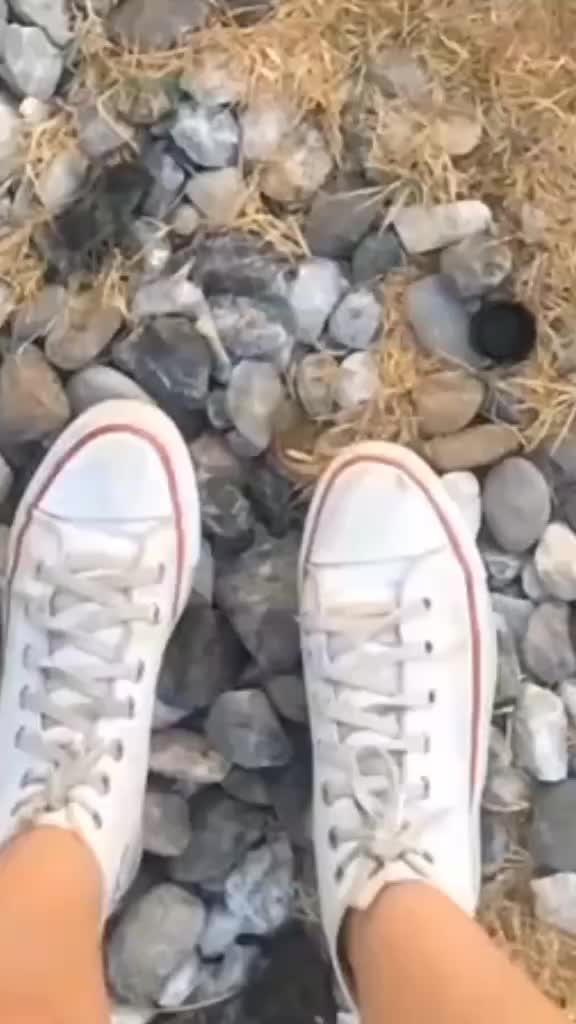 @Melisa