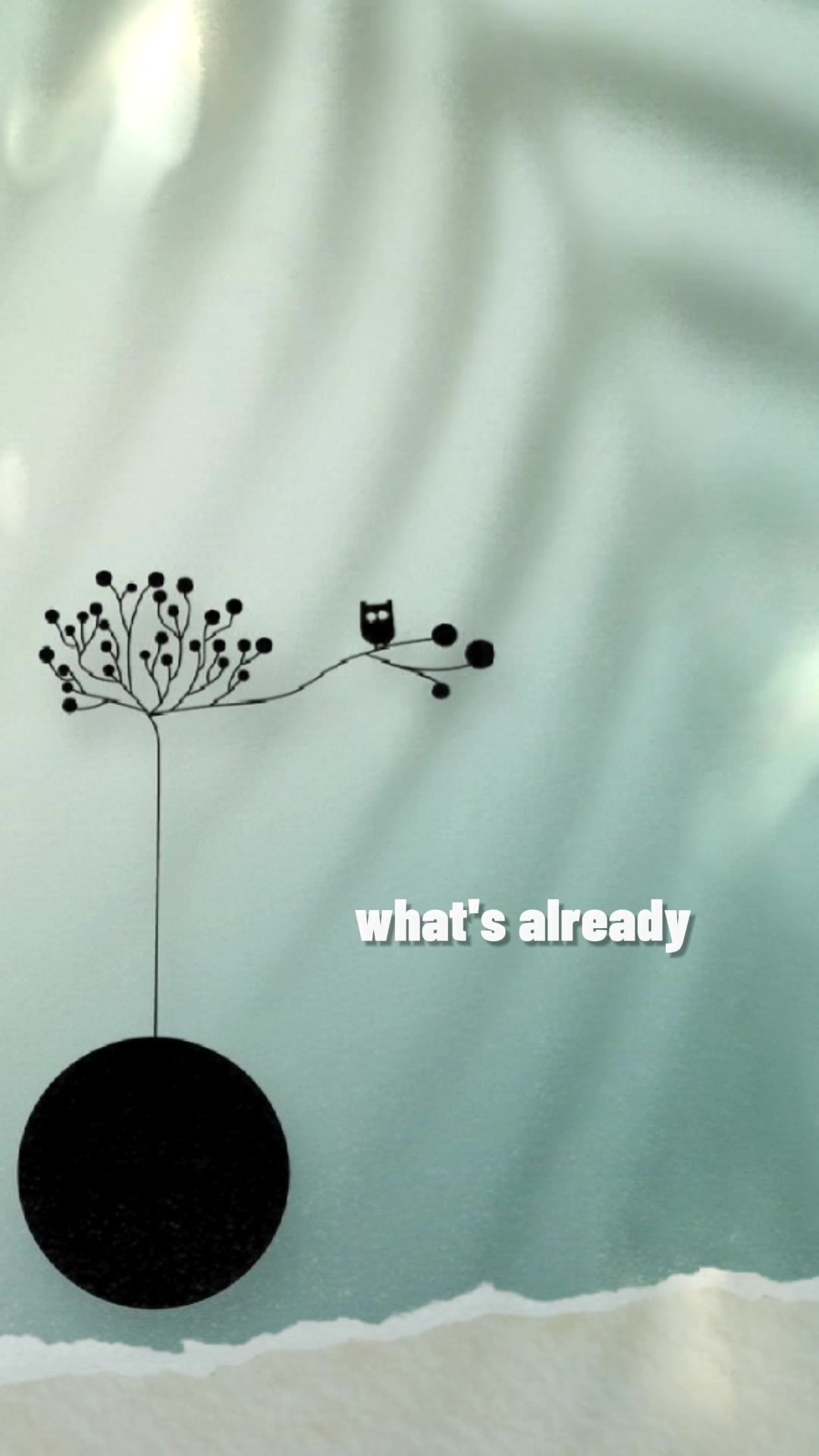@Alpha Graph Official