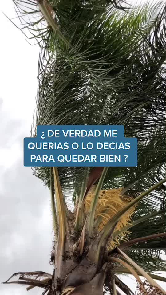 @J.PABLO
