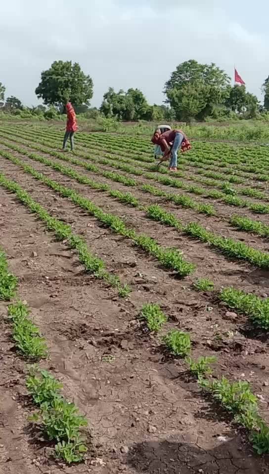 @bhavy kyada