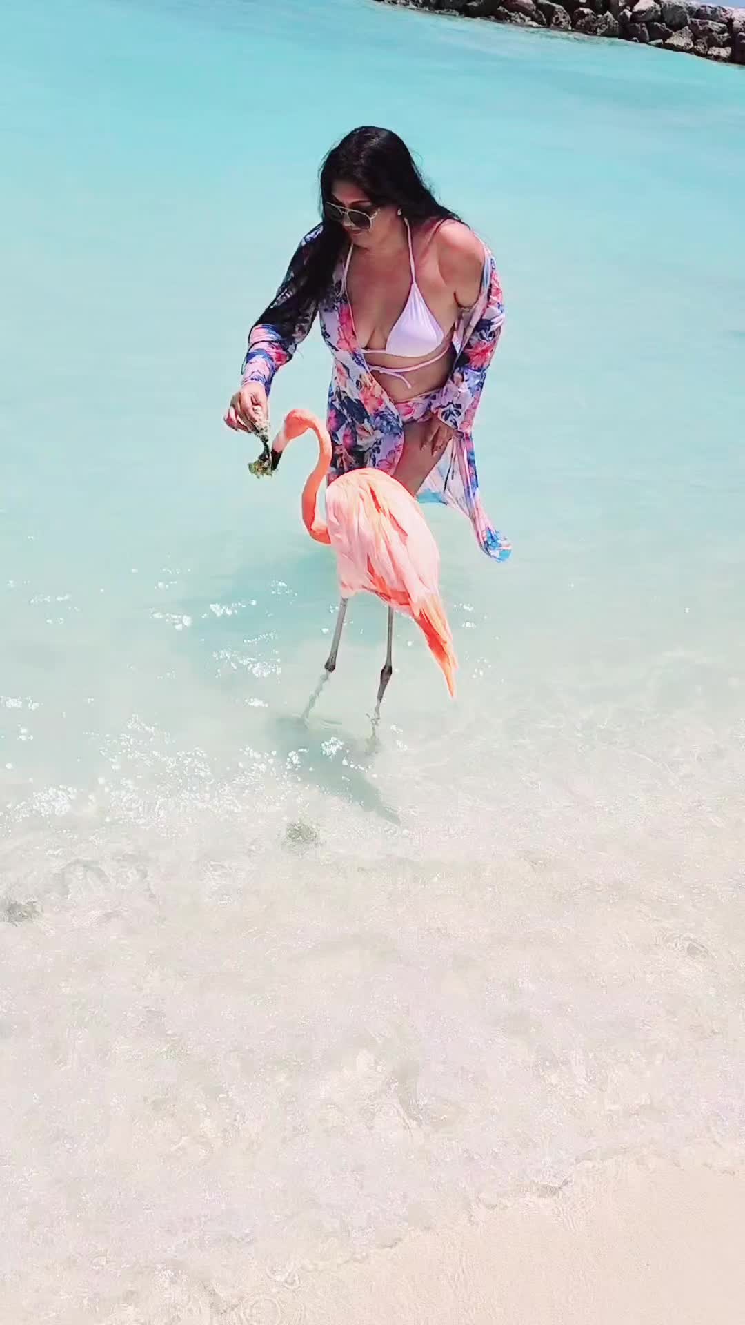 @🎀R🌸G🎀