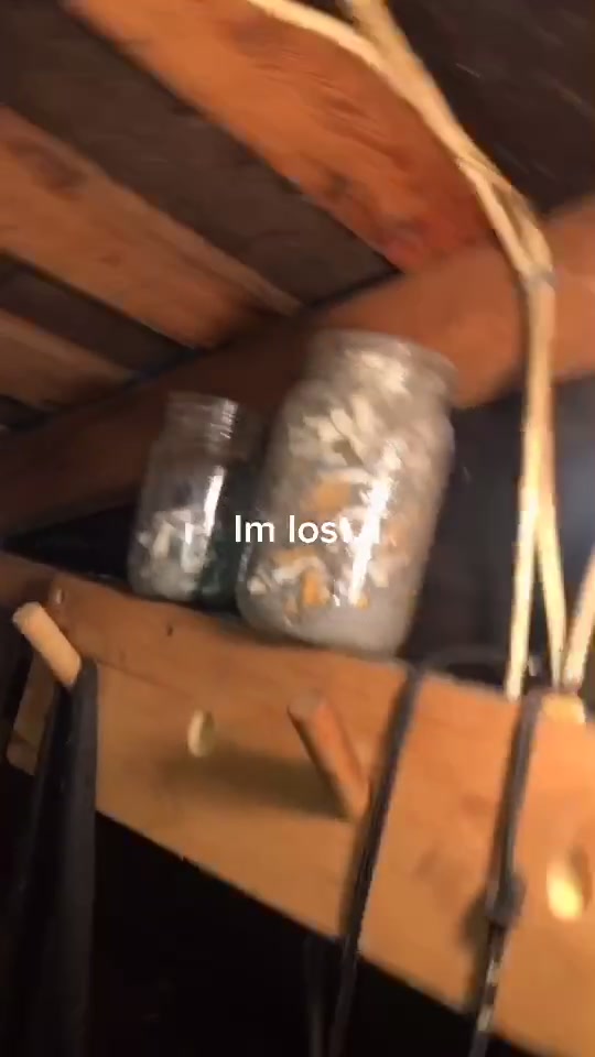 @liv