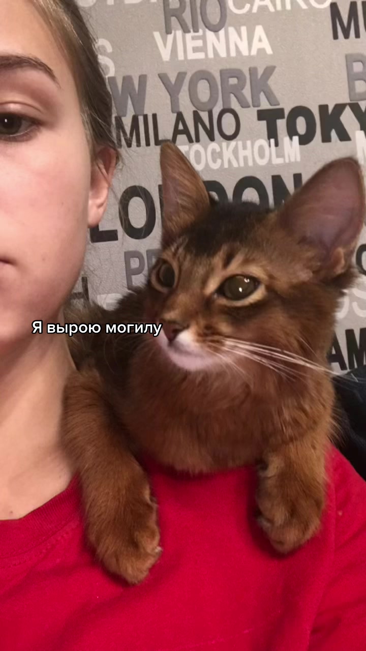 @Ярослава Артемьева