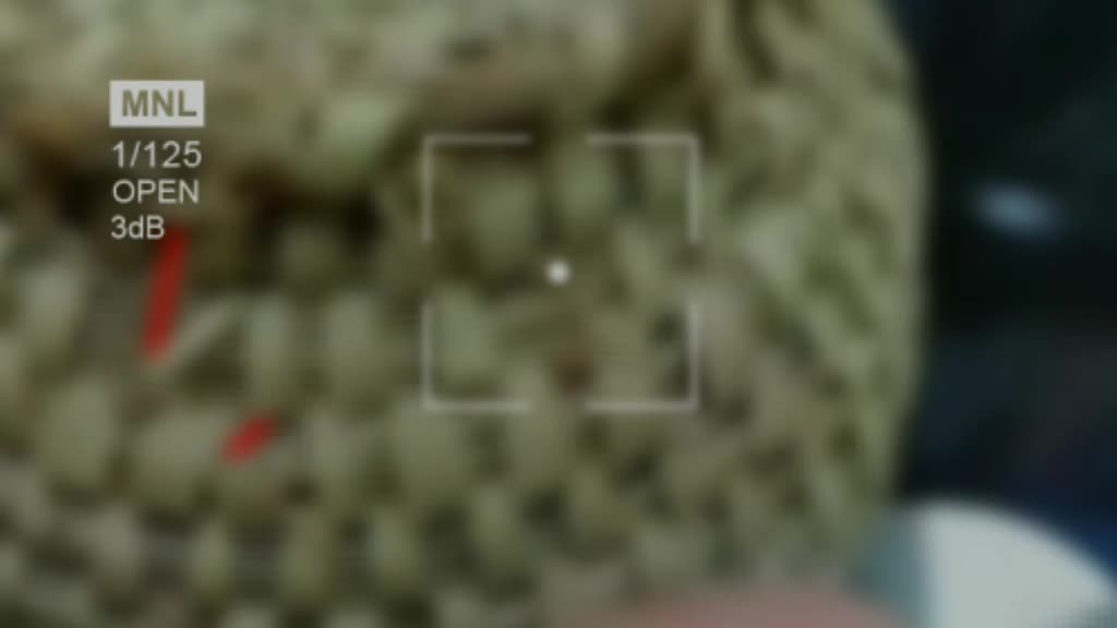 @๐โโกโโโ โโโกโ๐