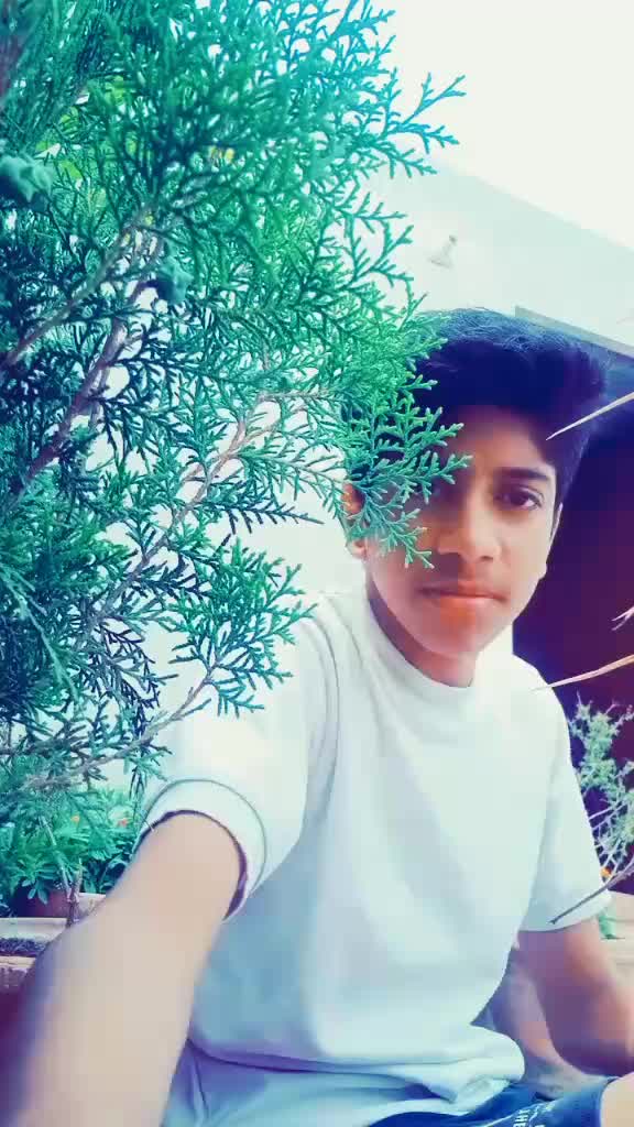 @avyuktshukla967