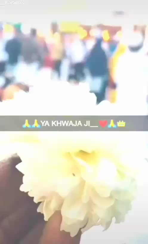 @👑  Ali wale 17 🔥🔥