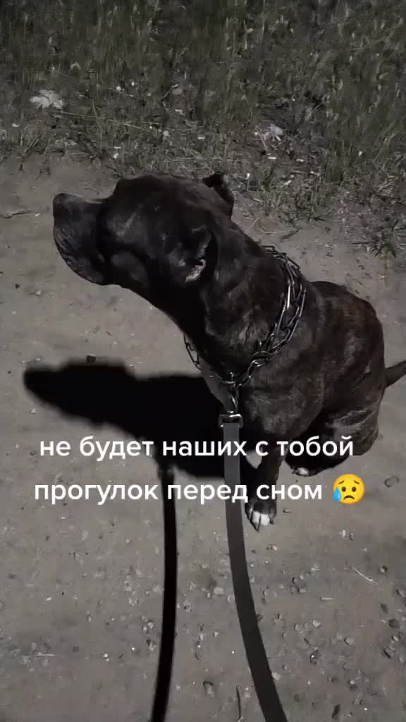 @irina___yuryevna___
