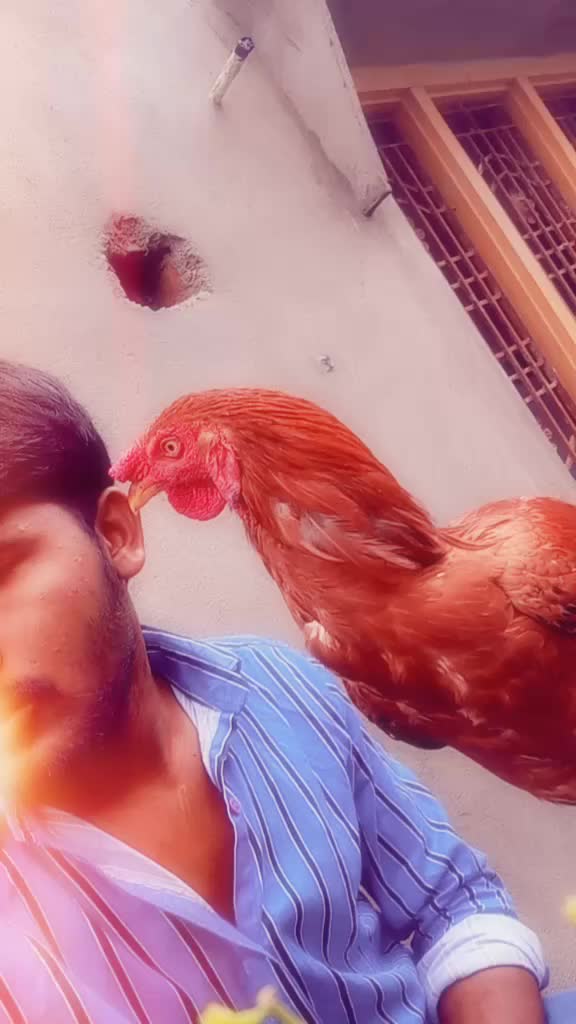 @user7444183570547