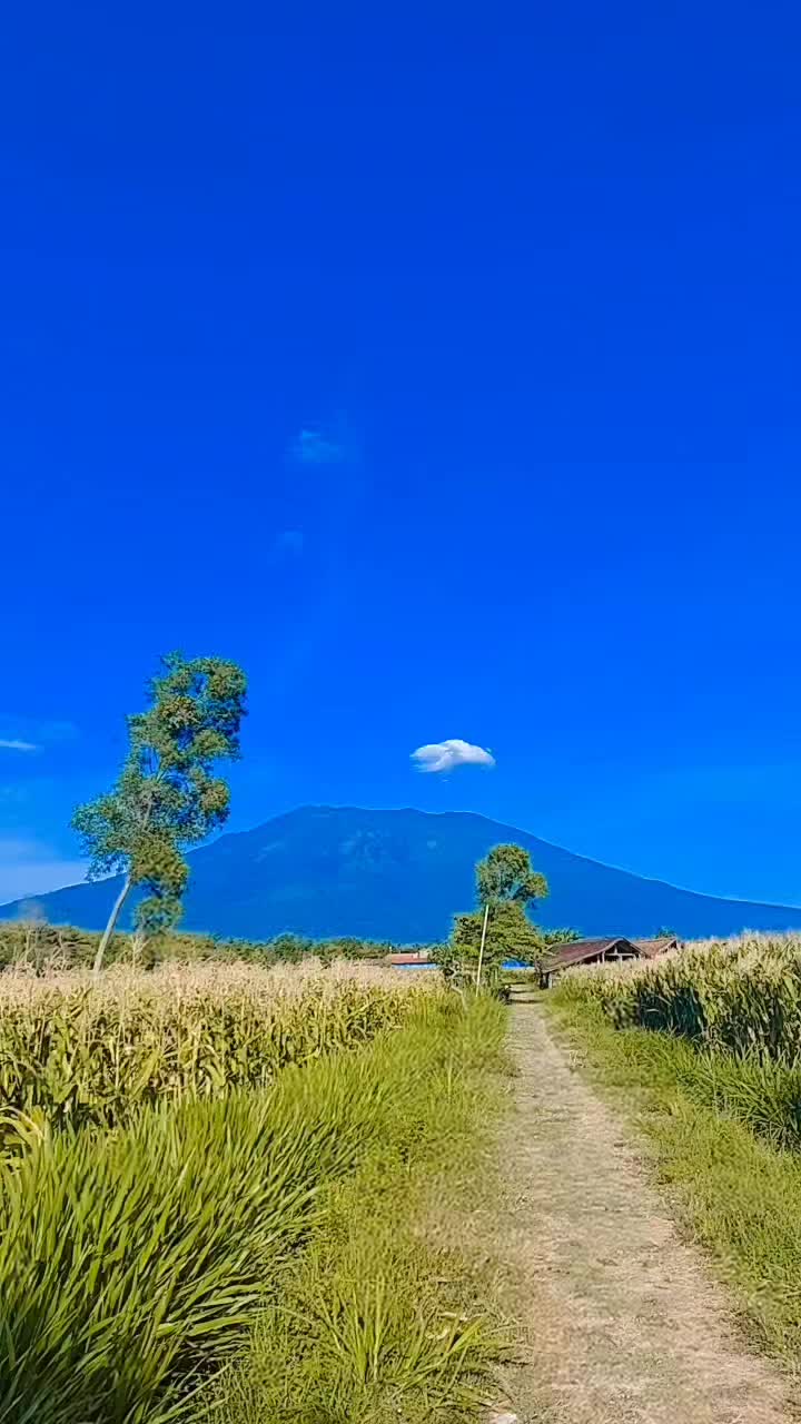 @user3598533606328