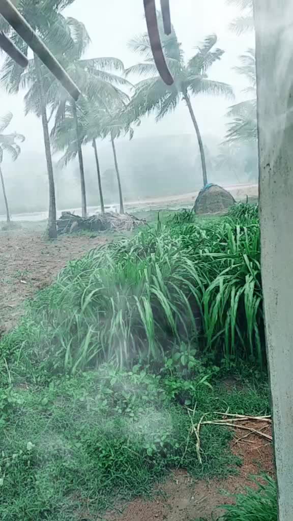 @Pavankumar 45678