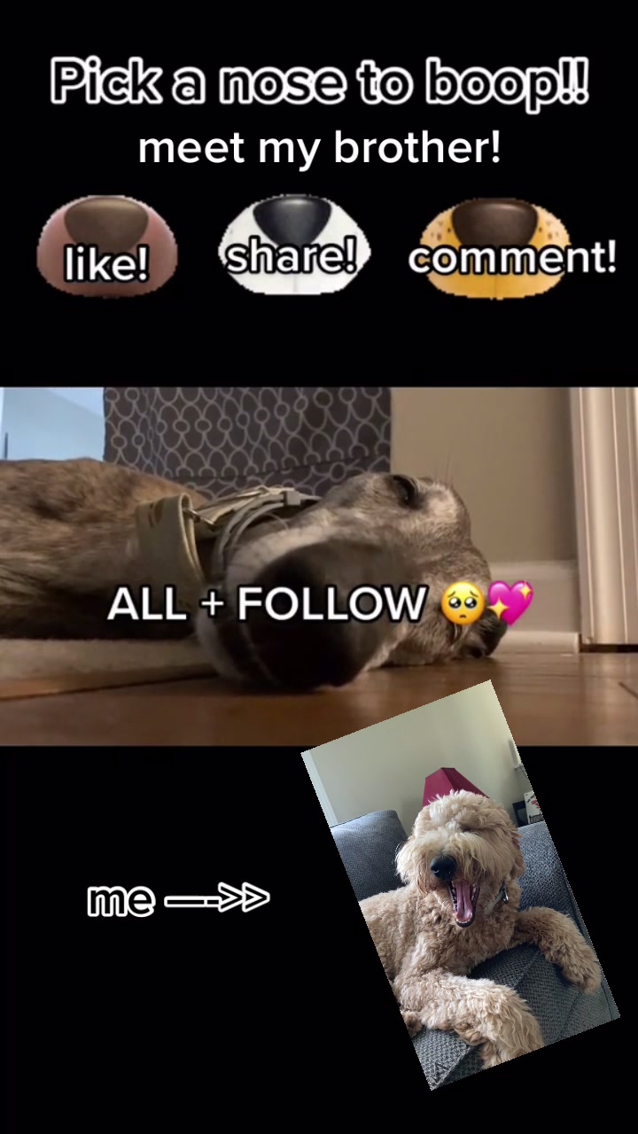 @indie.doodle