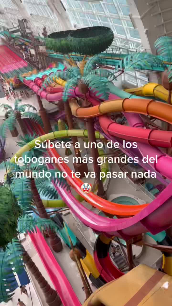 @Hazel Ortiz