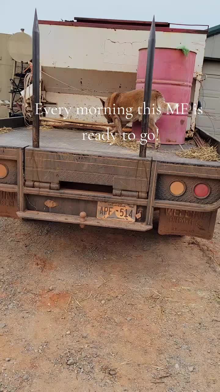 @theofficialchunt