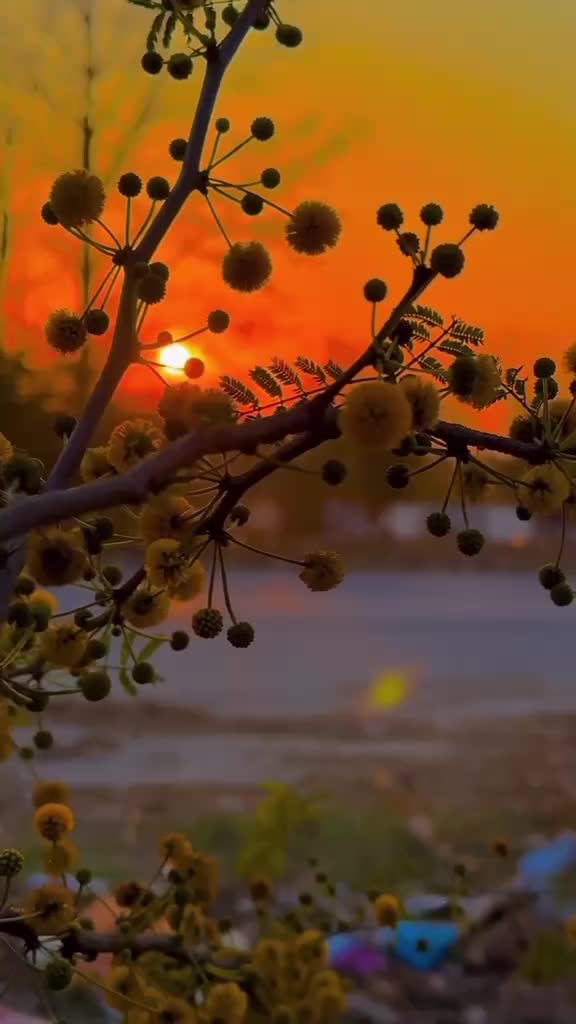 @ASİ💗KIZINIZ