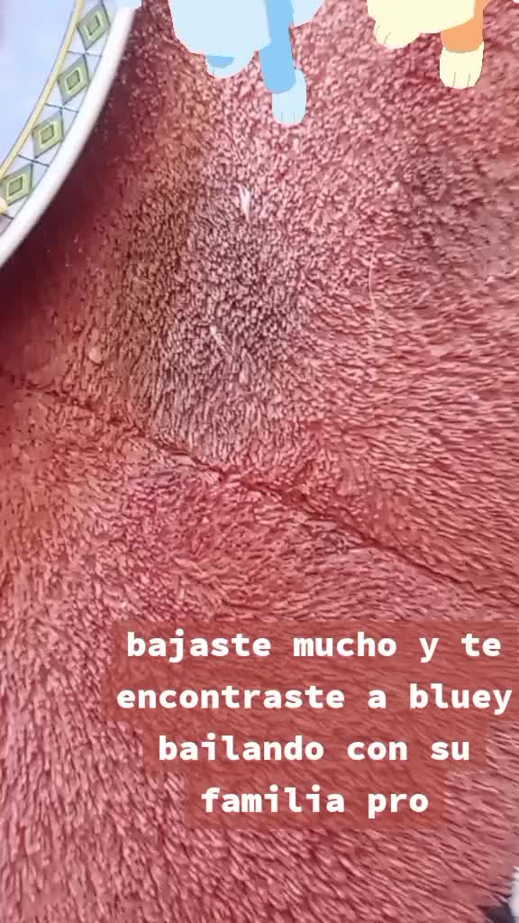 @Rafaela Gorigoitia