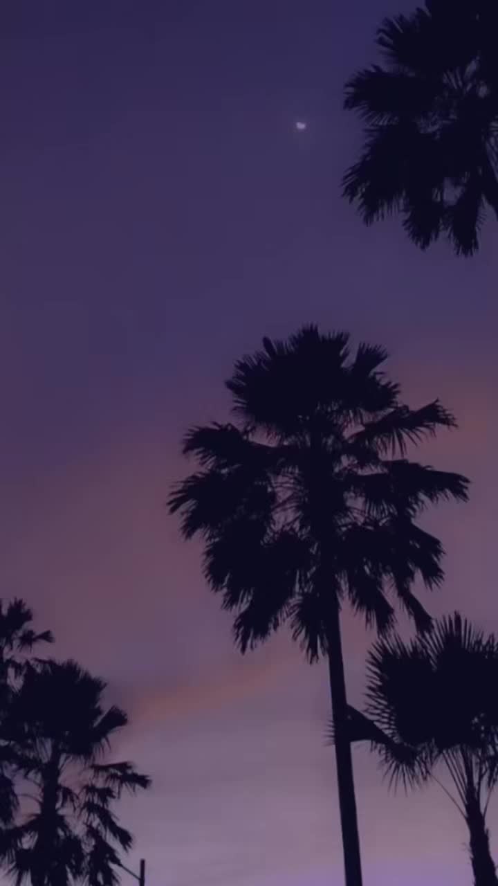 @Amadou