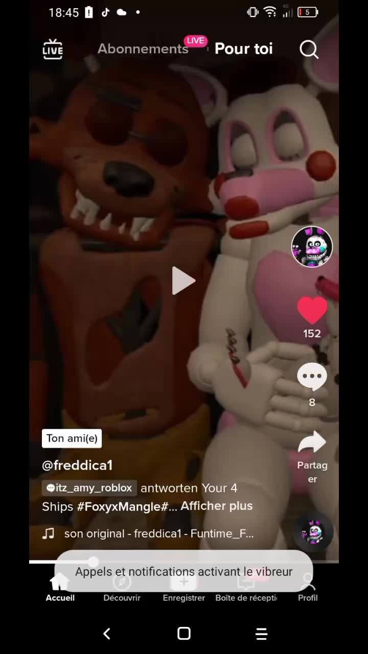 @🦊❤️ Mangle×Foxy ❤️🦊