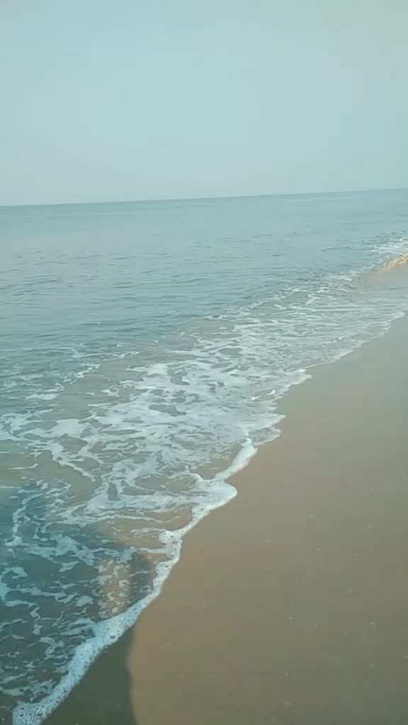 @Amritha Murali