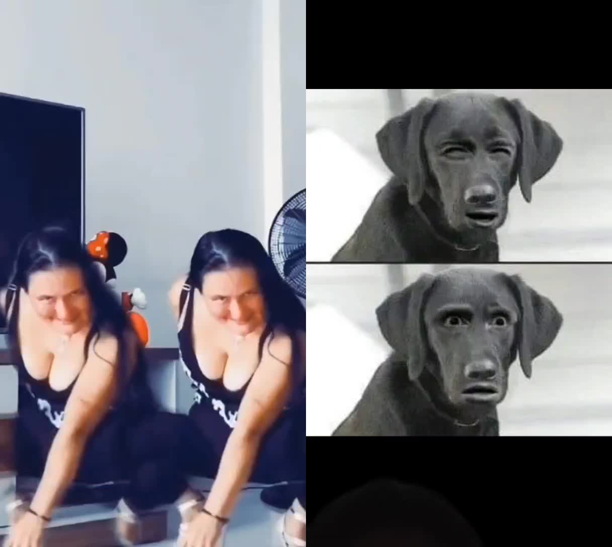 @perrowhat