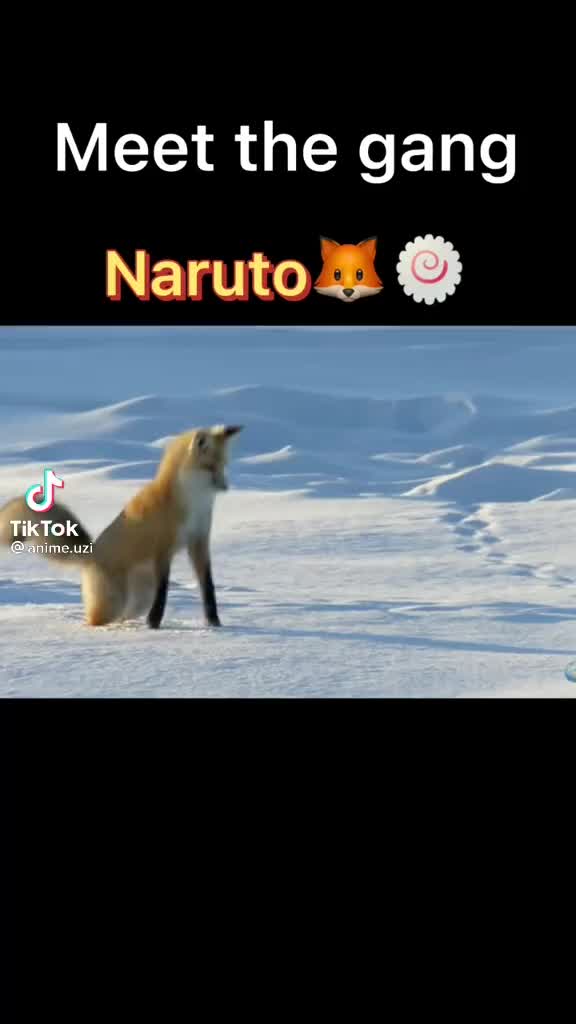 @natsu