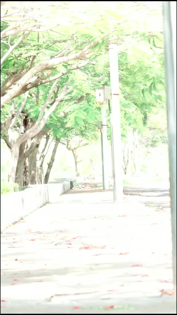 @अजय गवई