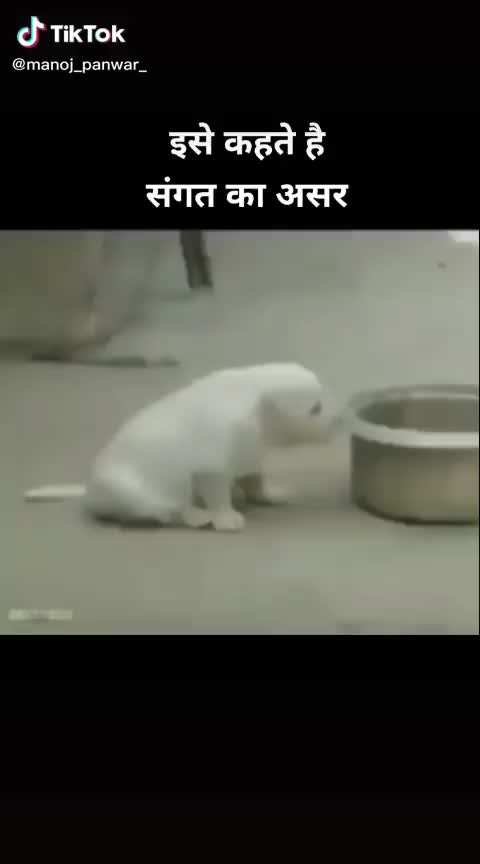 @manu_262007