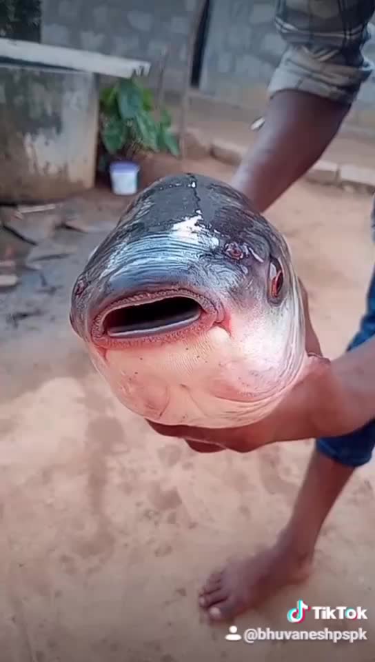 @userbhuvanesh934604