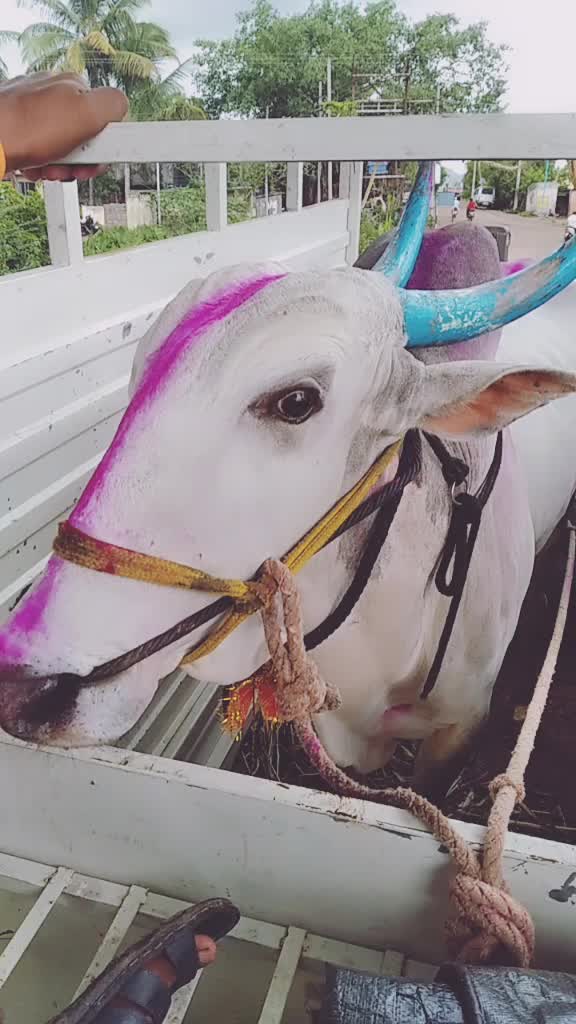 @Akash Dhekale