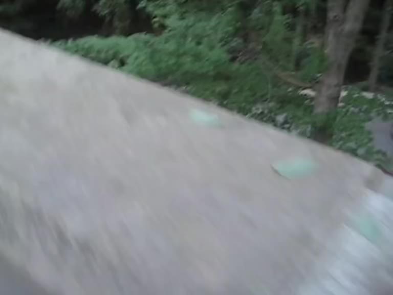 @️monkey